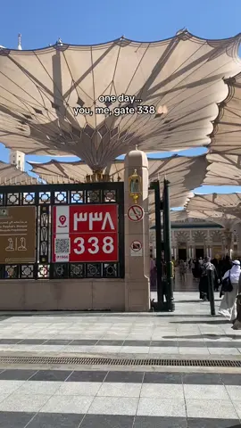 one day, you, me, gate 338 🤲🏻 #gate338 #gate338masjidnabawi #madinah #madinahalmunawaroh 