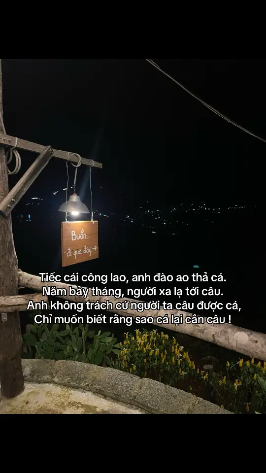 tiếc cái công lao, anh đào ao thả cả Năm bảy tháng, người xa lạ tới câu.. #bnh_minh07 