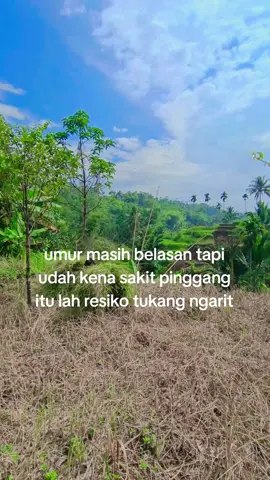 begitulah resikonya tukang ngarit🤠 #katakatamotivasi #ngaret #fyp #pertenak #peternaksapiindonesia #sapijumbo #ngarit #sapi #peternakmuda #sobatngaret 