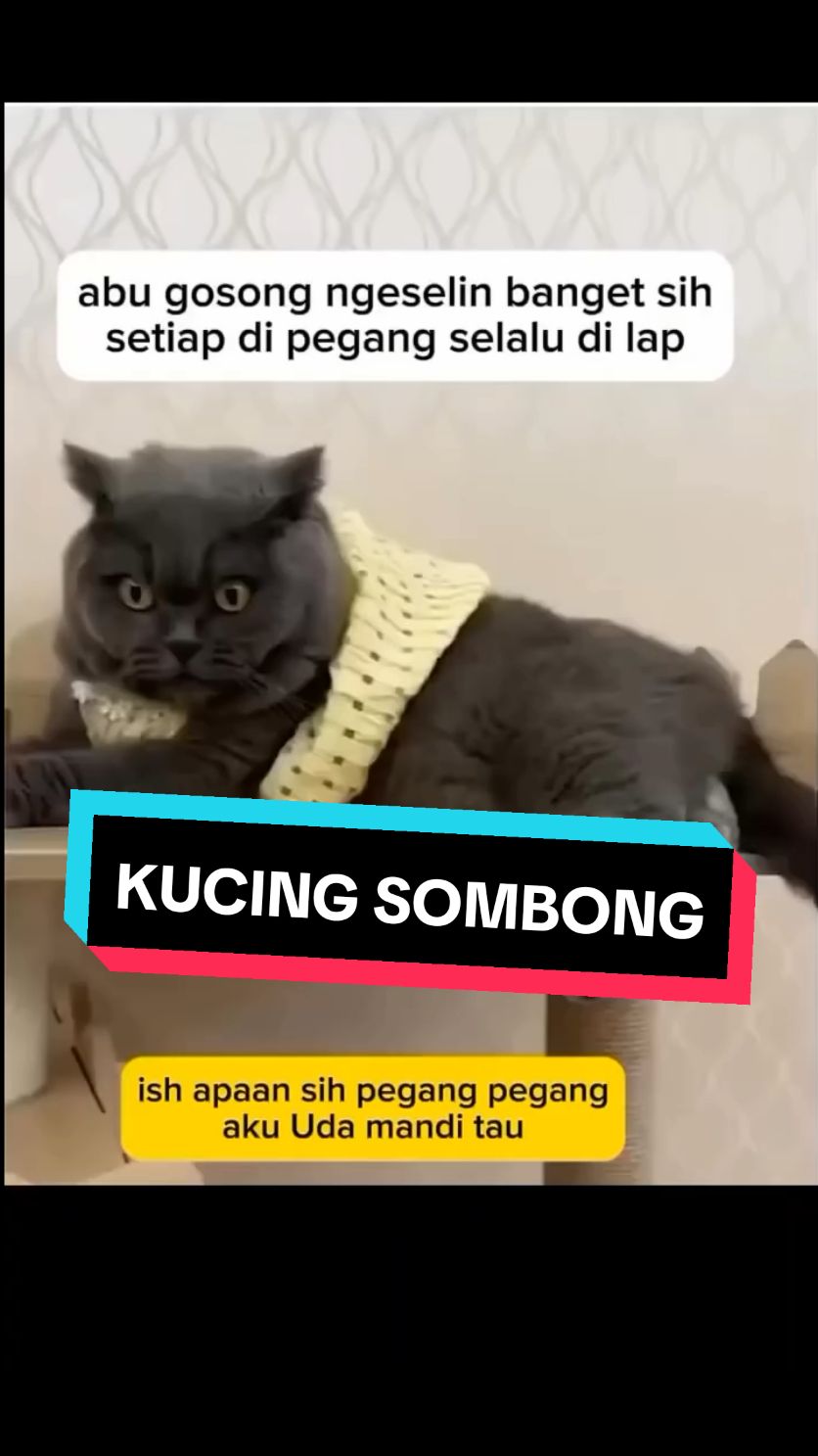 waduh 😂🤣🤭 #fyf #fyp #video #tiktok #viraltiktok #viral #cats #catsoftiktok #cat #dog #dogsoftiktok #funny #funnyvideos #tiktok #hiburan 