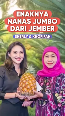 Matur nuwun mba @khofifah.ip … kami di sajikan Nanas Organik Jember dan yang special di potongin langsung ama Ibu Gubernur Jawa Timur 🫰🏻🩵 - Nanasnya Guedee, Enakkk, Manis and very rich in flavour … Pengen segera kirim tim ke Jawa Timur untuk belajar budi daya Nenas Jumbo Jember ini sehingga bisa di budi dayakan juga di #MalukuUtara juga nanti .. #ceritastjo