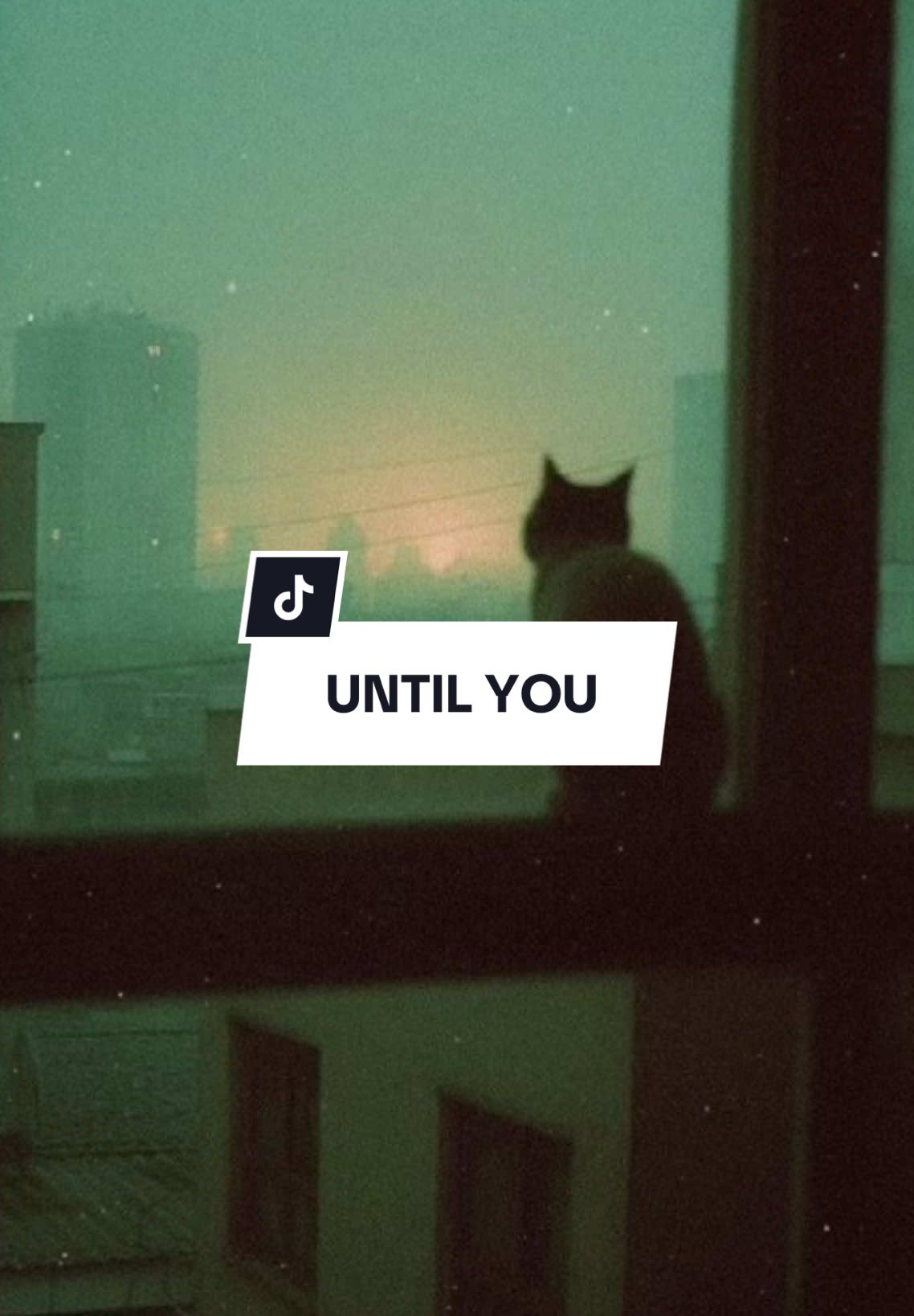 until you | #CapCut #toiyeuems 