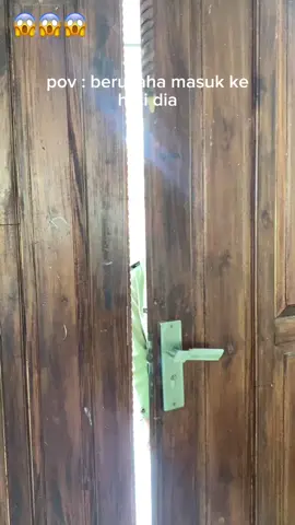 #fyp