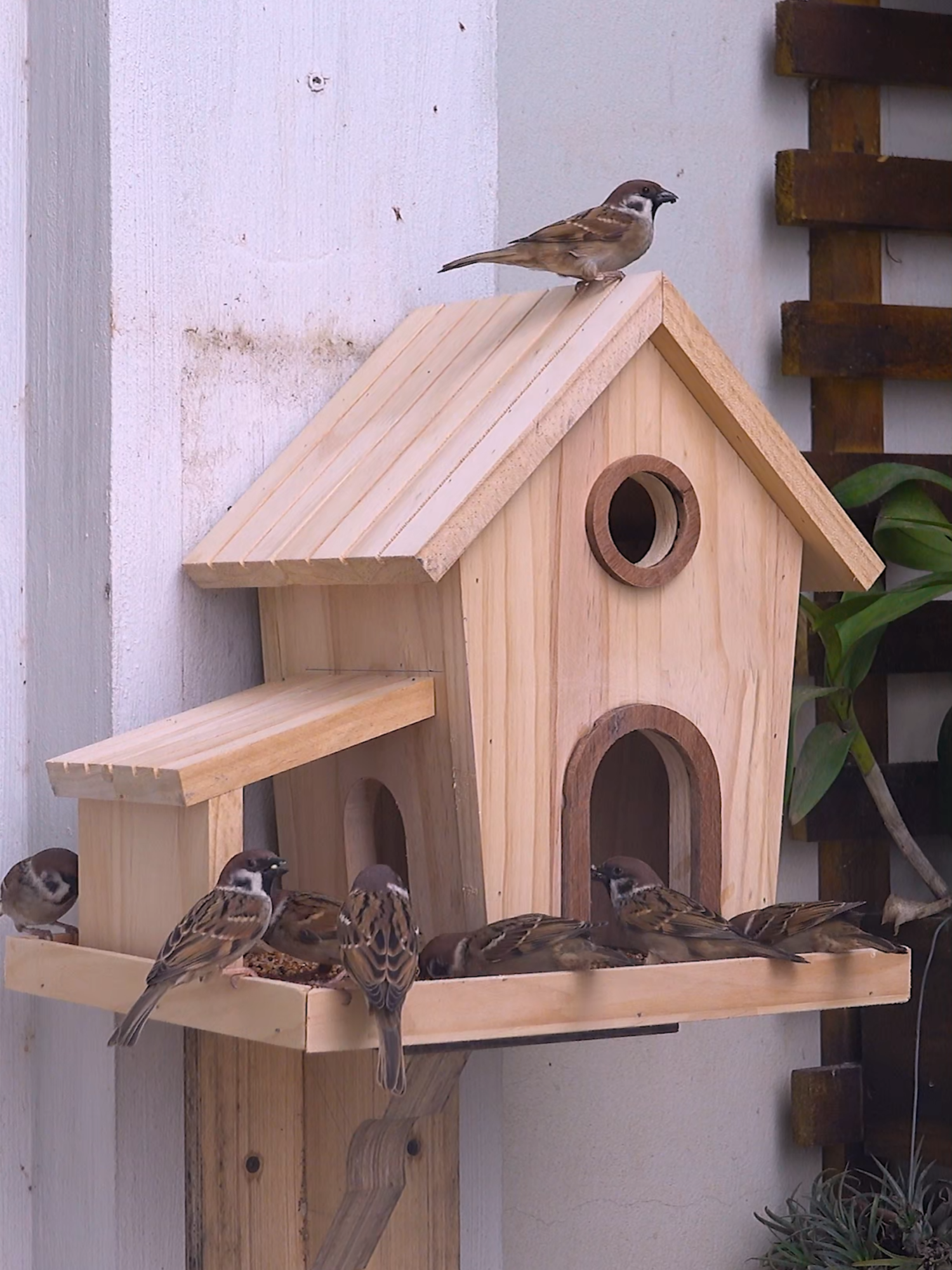 Build Your OWN Wooden Bird Feeder At Home Today!