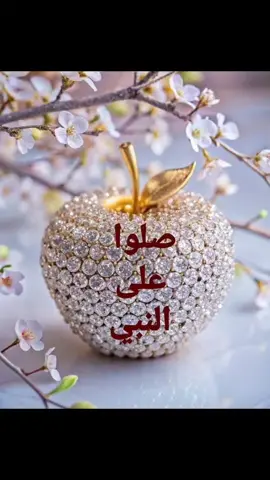 اللهم صل على سيدنا محمد وعلى آله عددماوسع🤲💞💞