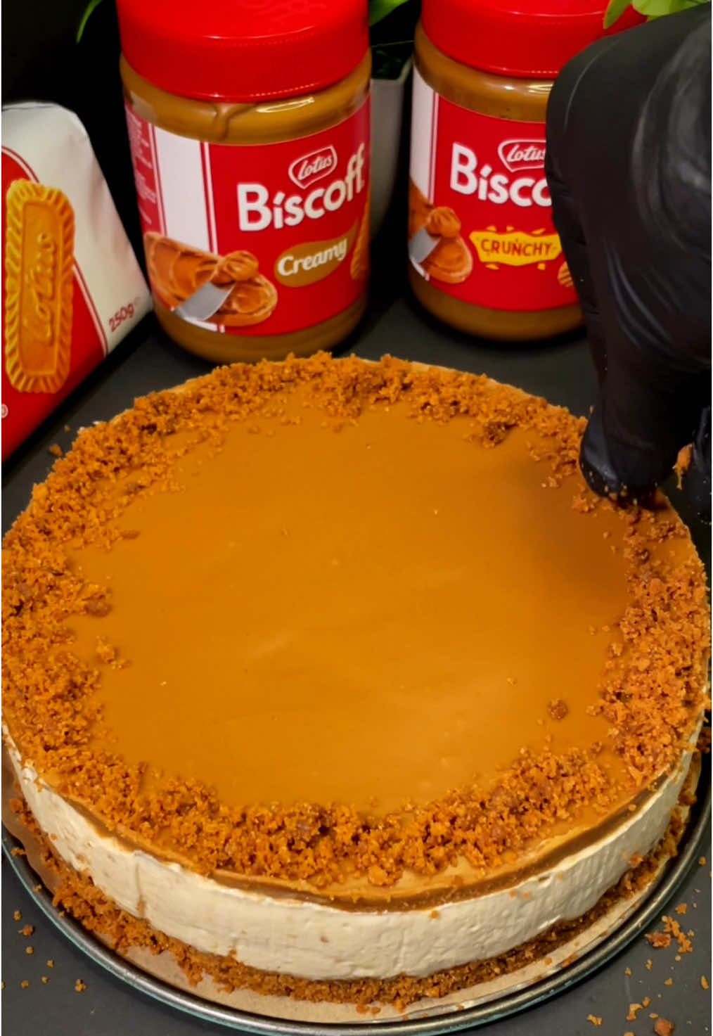 Cheesecake  #cheesecake #lotusbiscoff #lotuscheesecake #biscoff #biscoffcheesecake #biscoffspread #rezept #ohnebacken #lotus #cakedecorating #caketok 