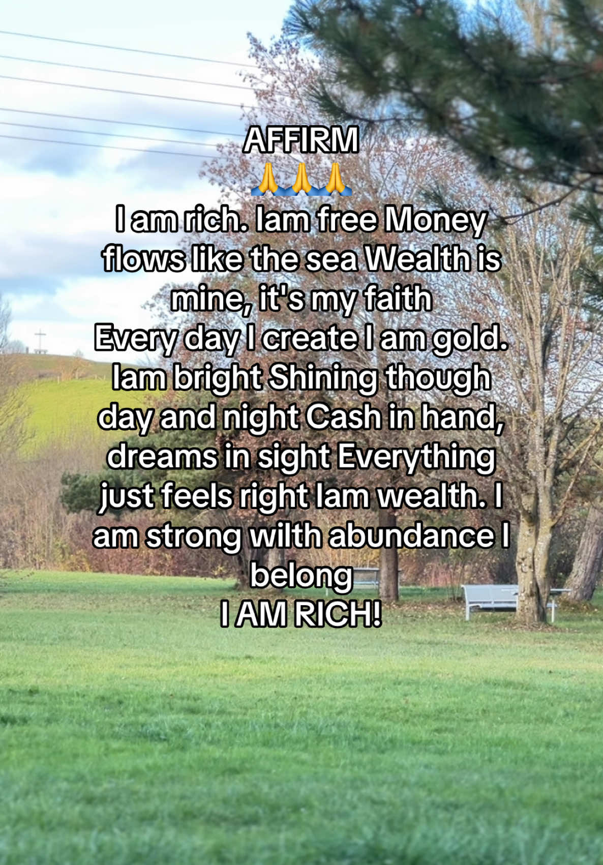 AFFIRM 🙏🙏🙏 #fyp #foryoupage #tiktokviral #viral #foryou #manifest #manifestation #affirmations #money #abundance #wealth 