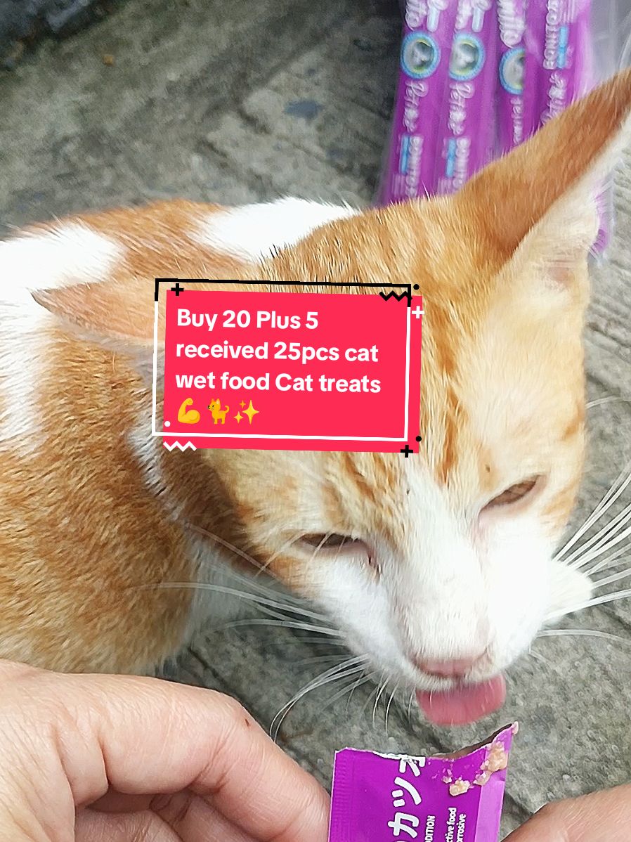 Buy 20 Get 5 Cat Treats Petime receive 25pcs. Buy here @Kitty's Productsᥫ᭡ᡣ𐭩𖹭 #trending #catfood #cattreats #wetfood #catwetfood #petime #petimecatreats 