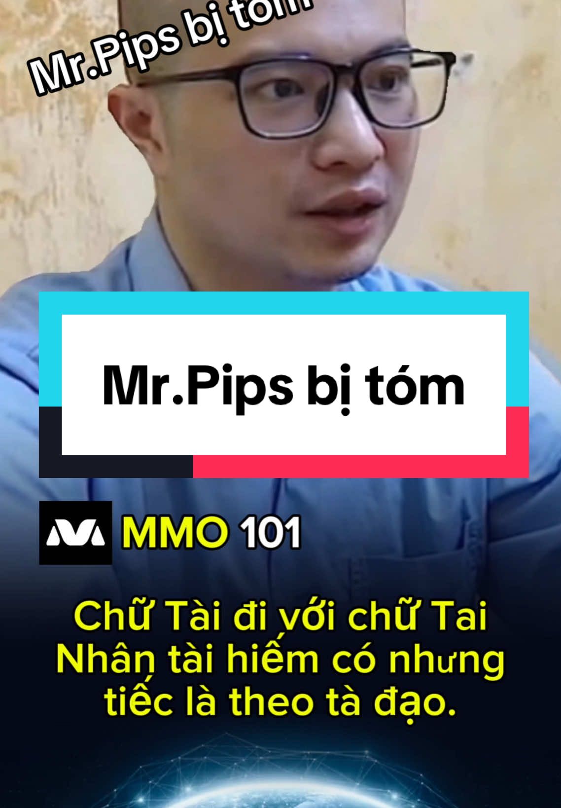 Mr.Pips bị tóm. #mrpips 