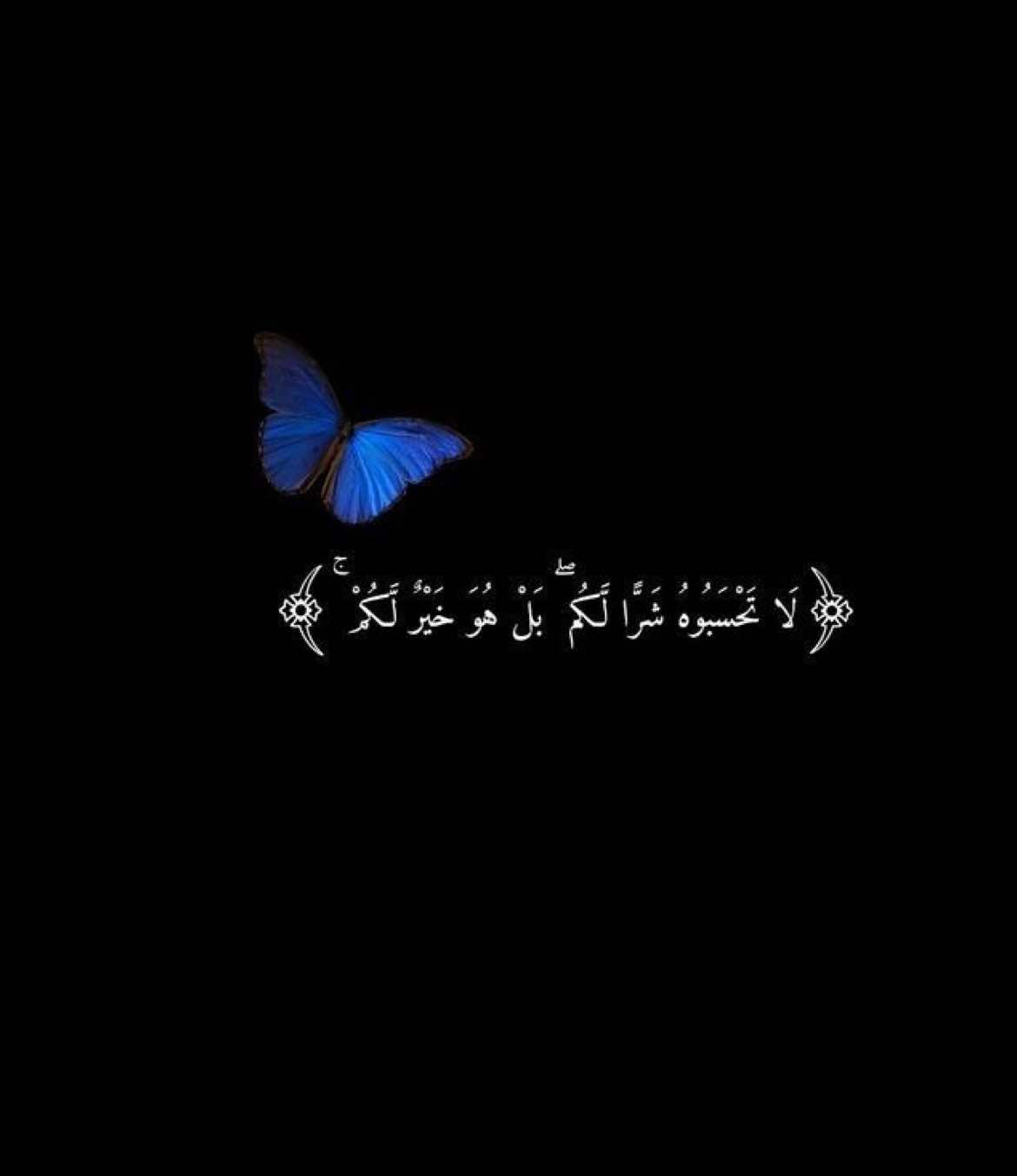 هوه يكدر يعيش بلياج ؟ #شعر #انت #شعب_الصيني_ماله_حل😂😂 #شاشة_سوداء🖤 #شعبي 