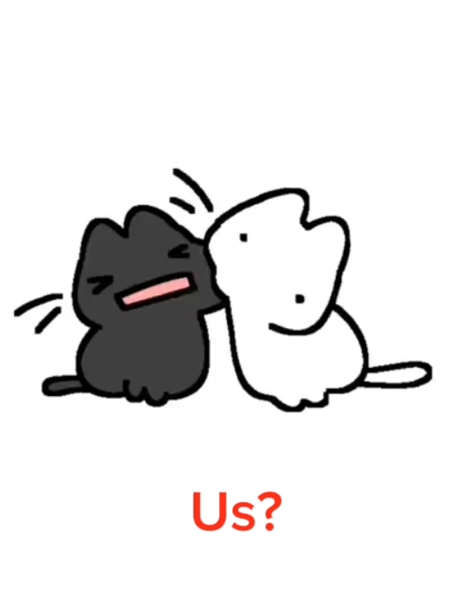 😽🫶.#lovers #viral_video #cat #gatos #silly #sillycat #amor #us #paratiiiiiiiiiiiiiiiiiiiiiiiiiiiiiii #parati #tiktokviral #parejas #fyt #loveyou #edit #whitecat #blackcat #foryoupage❤️❤️ #foryou 