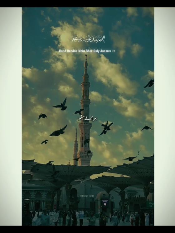 Band Deedon Mein Bhar Daly Aansu 🥺💔💯 #islamic_video #unfrezzmyaccount #grow #account #foryou #foryoupage #trending #fyp #viral #100k #islamicedits16 