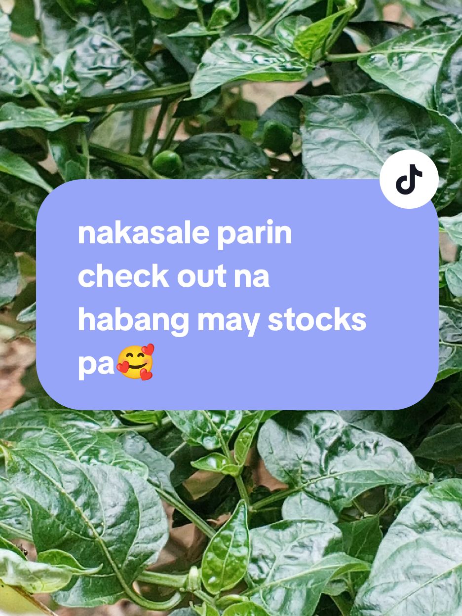 nakasale parin check out na  habang may stocks pa🥰 #cupidspotpourri  #esoskinph  #esoskinloveko  #esoskin #transformedbyca  #rosequartz #Love #universallove #citrine #abundance #prosperity  #manifestation #manifest  #manifesting #highvibe  #vanillapumpkin #perfume 