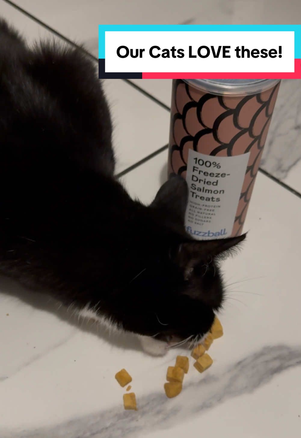 Has your Cat tried these Freeze Dried Cat Treats? 🐈‍⬛🐈 #freezedriedcattreats #freezedriedcattreat #freezedriedpettreats #freezedriedtreats #freezedried #cattreats #cattreat #catlover #catlovers #catmusthaves #catessentials #cat #cats #catsoftiktok #cutecat #catgifts #foryou #fyp #tiktokmademebuyit #giftideas @Fuzzball 