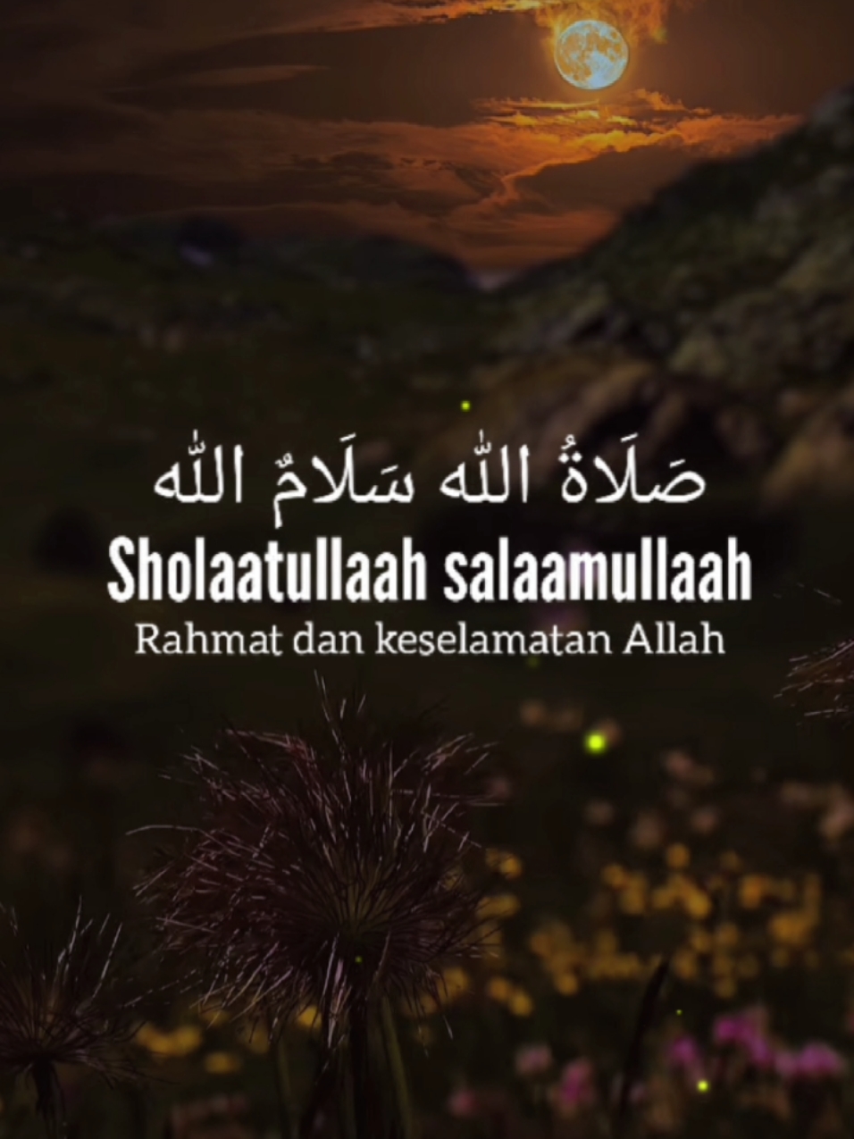 Assalamualaikum warahmatullahi wabarakatu #sholawatbadar #maribersholawat #sholawatnabimuhammadsaw #perbanyakistighfar #perbanyakzikir #fyp 