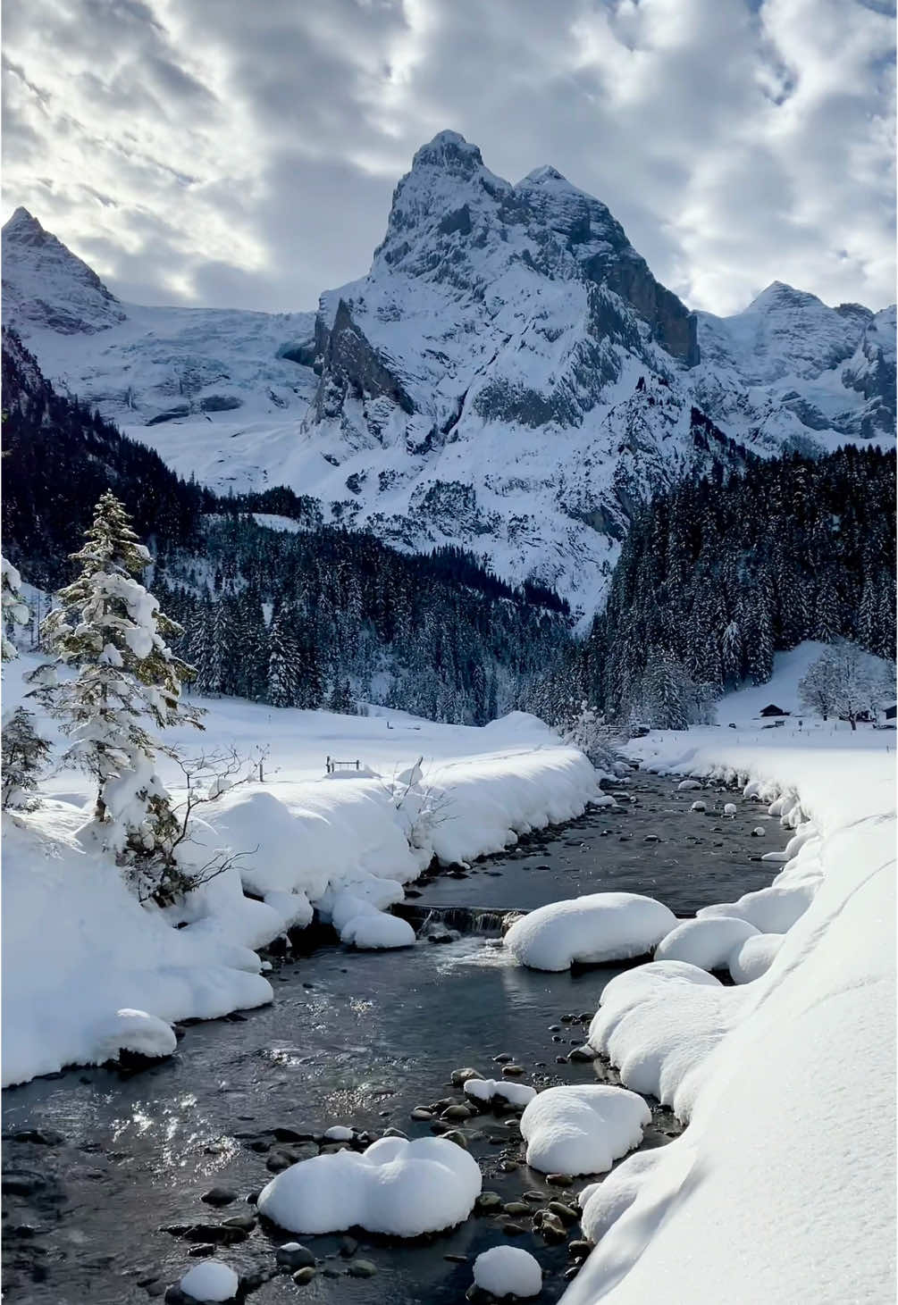 Winter in Switzerland 🇨🇭 #switzerland #snow #jungfrauregion #bestplacestovisit 