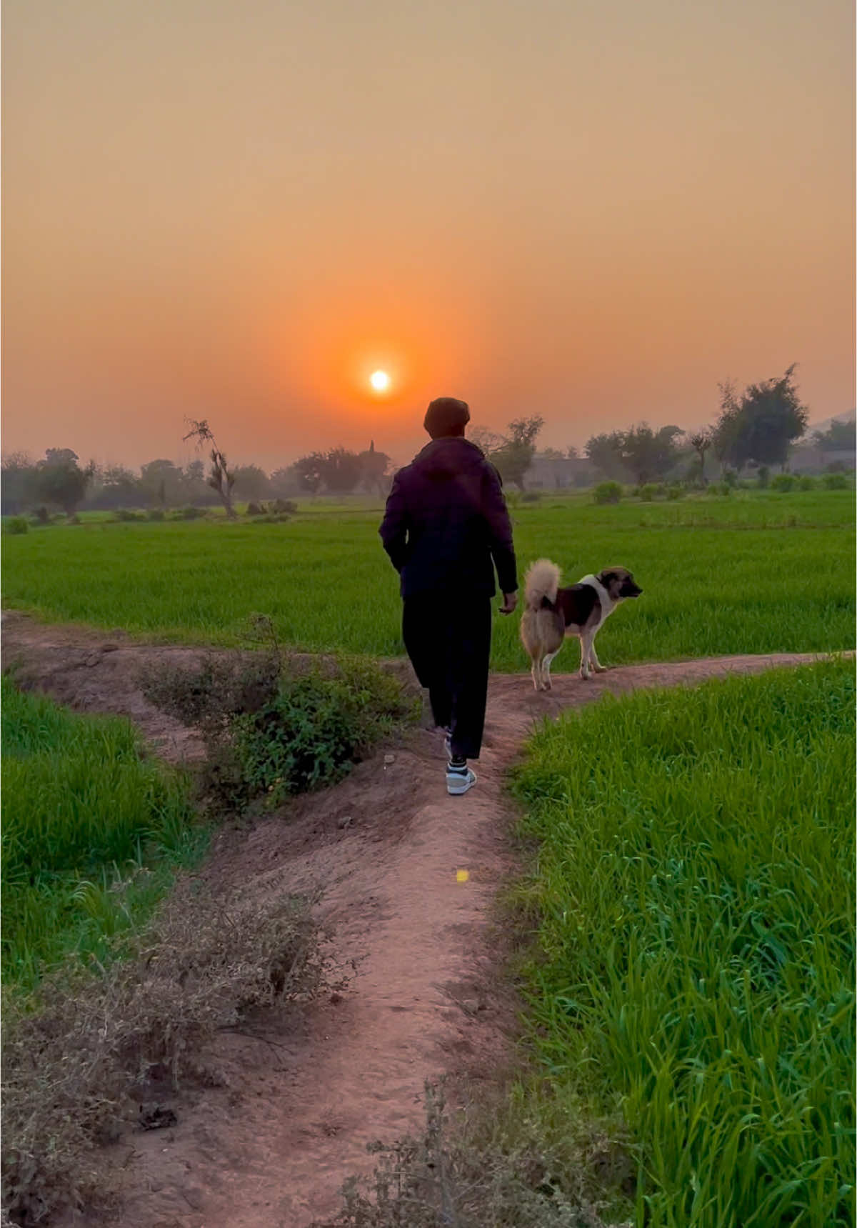 Special feeling in The village 🦋 🌸 #kohat_kpk #explore #foryoupage #fyp #villagelife #viralvideos #shahab_afridi313