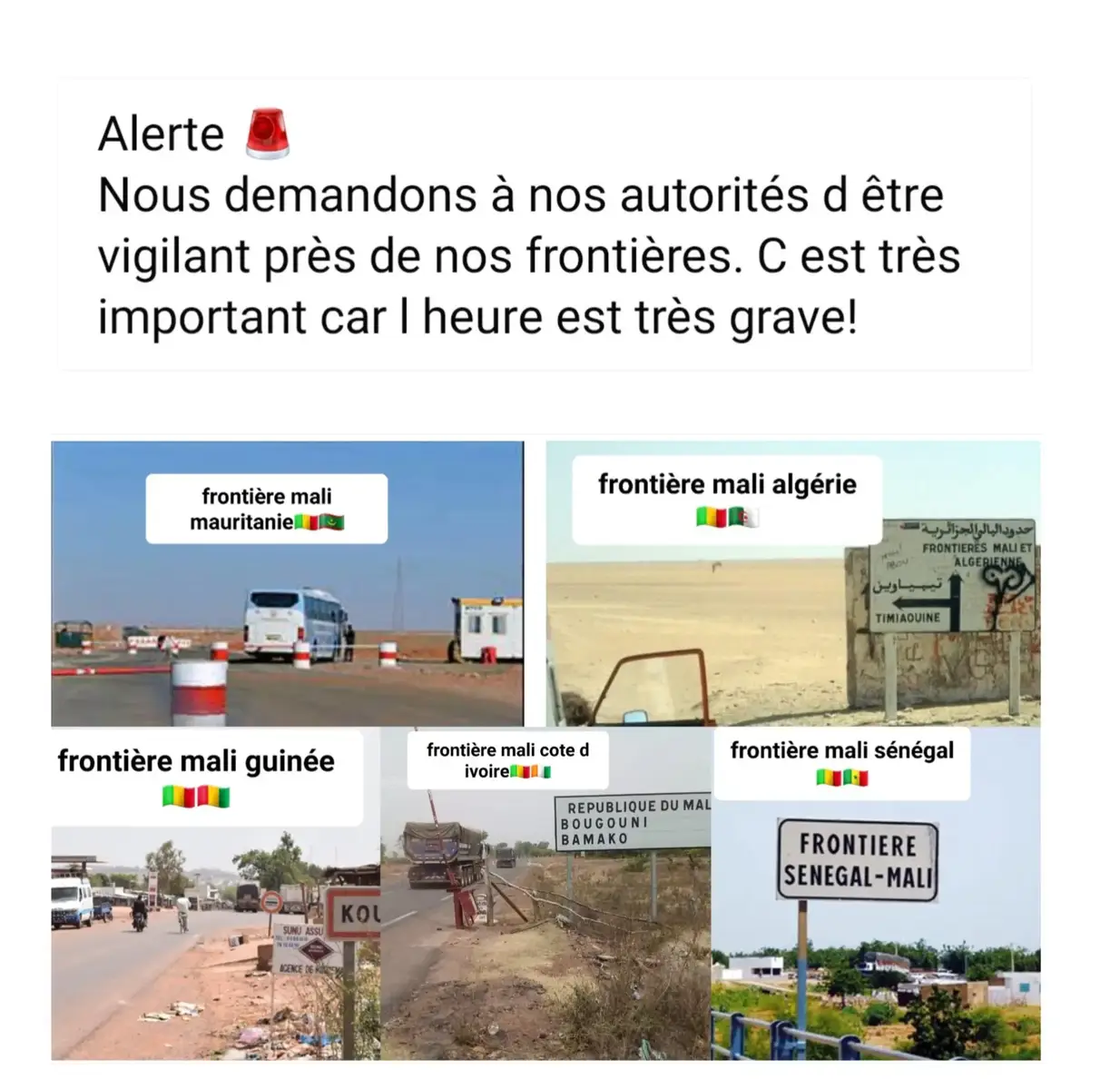 #africa #malinois #ouijaboard #movie #tiktok_india #tiktokmali🇲🇱223 #tiktoknigerienne🇳🇪 #tiktokburkina🇧🇫 #yourpage @CMKNOI🇲🇱 @CMKNOI🇲🇱 @CMKNOI🇲🇱 