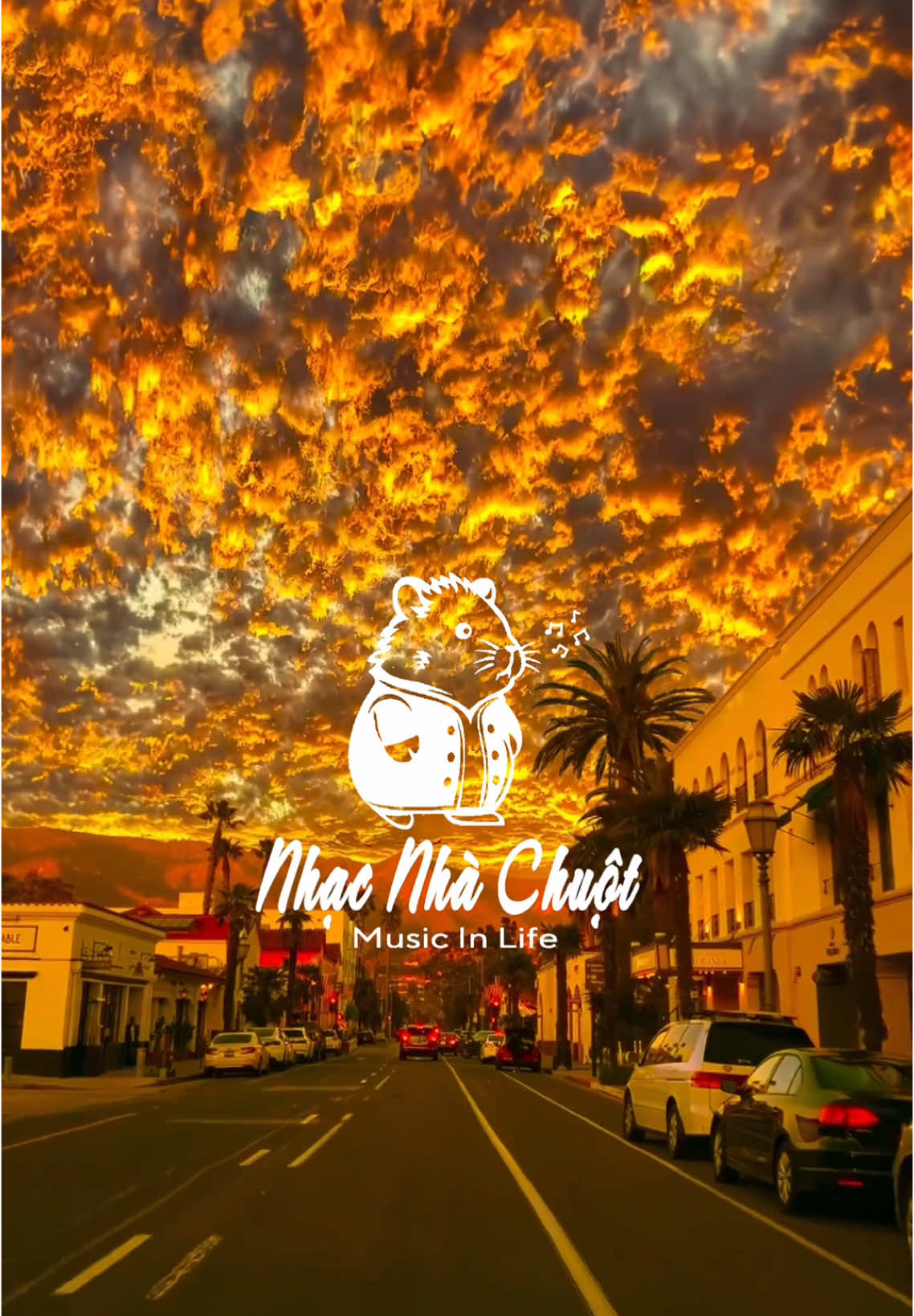 Hoa Cưới 😳😳😳#TPD #nhacnhachuot #TikTokAwardsVN #2024 #xuhuong #houselak #dcgr #xuhuongtiktok #nhachaymoingay #trending #viralvideo #nhacremix 