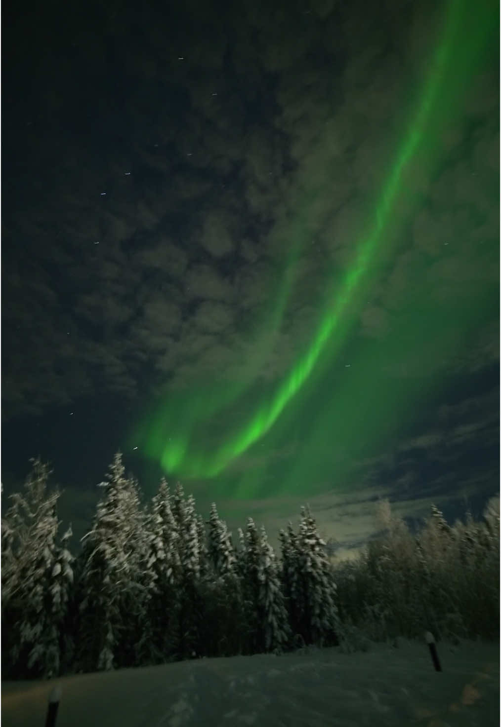 hey look, northern lights! #aurora #alaska #northernlights #auroraboreal