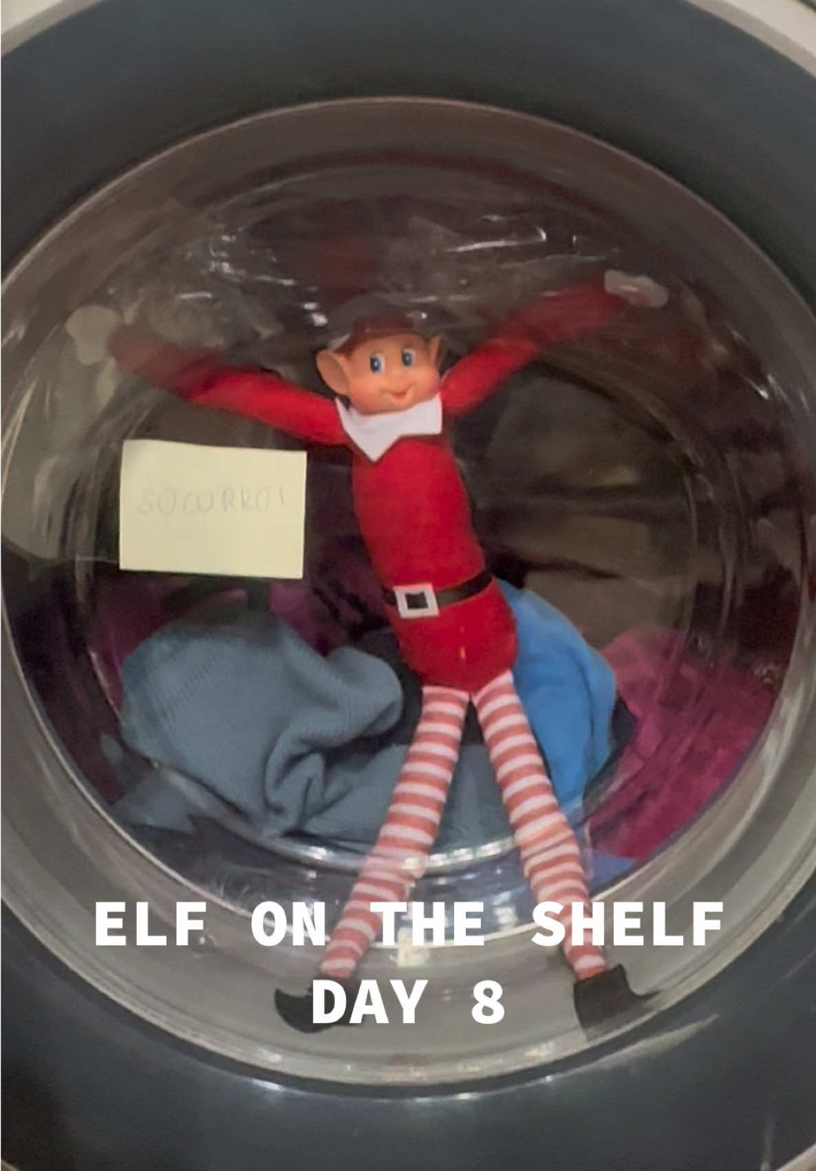 #elf #on #the #shelf #washing #machine #stuck #funny #fun #easy #facil #christmas #tradition #natal #day #8 #fy #foryoupage #foryou #for #you #viral #virais #video #videos #film #trend #trendy #trending #vaiprofycaramba #vaiprofy 