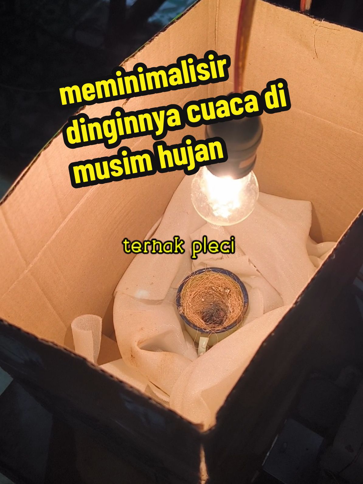 apapun hasilnya,setidaknya kamu sudah mencoba.