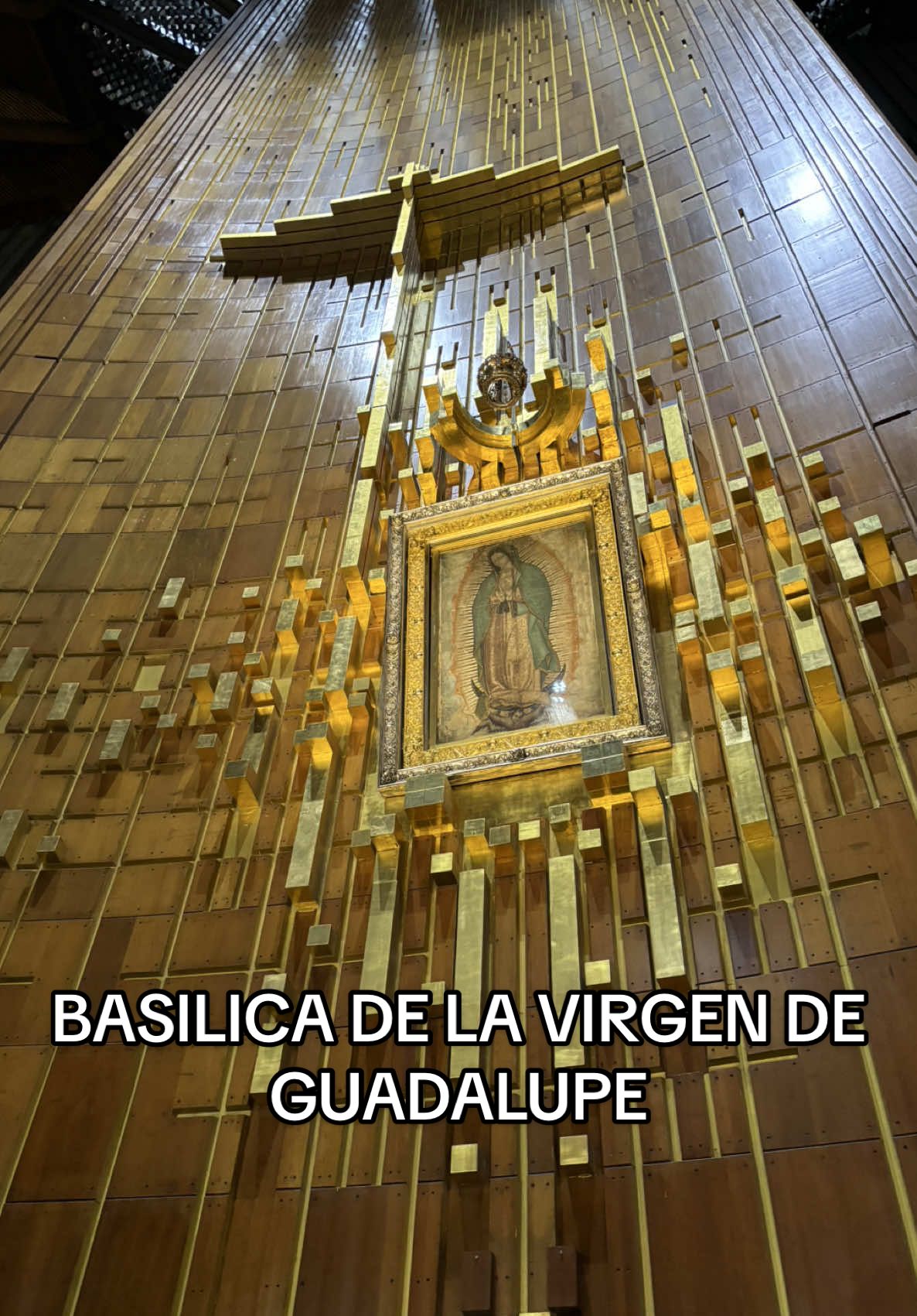 #virgendeguadalupe #cdmx #tepeyac #basilicadeguadalupe #12dediciembre #mexico #nyc #ourladyofguadalupe #fyp #paratii