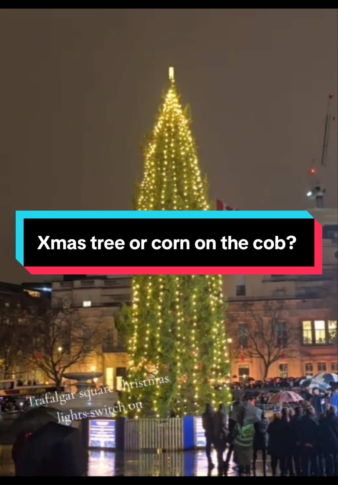 #stitch with @Buska in the park #londonchristmastree #london #xmas #christmas #corn 