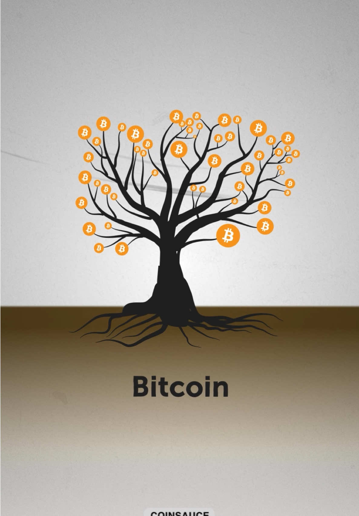 Bitcoin: Low to moderate risk, moderate growth potential, long-term, safer bet. Altcoins: Moderate to high risk, high growth potential, growth-oriented, diverse. Meme Coins: Very high risk, unpredictable growth potential, speculative, short-term.