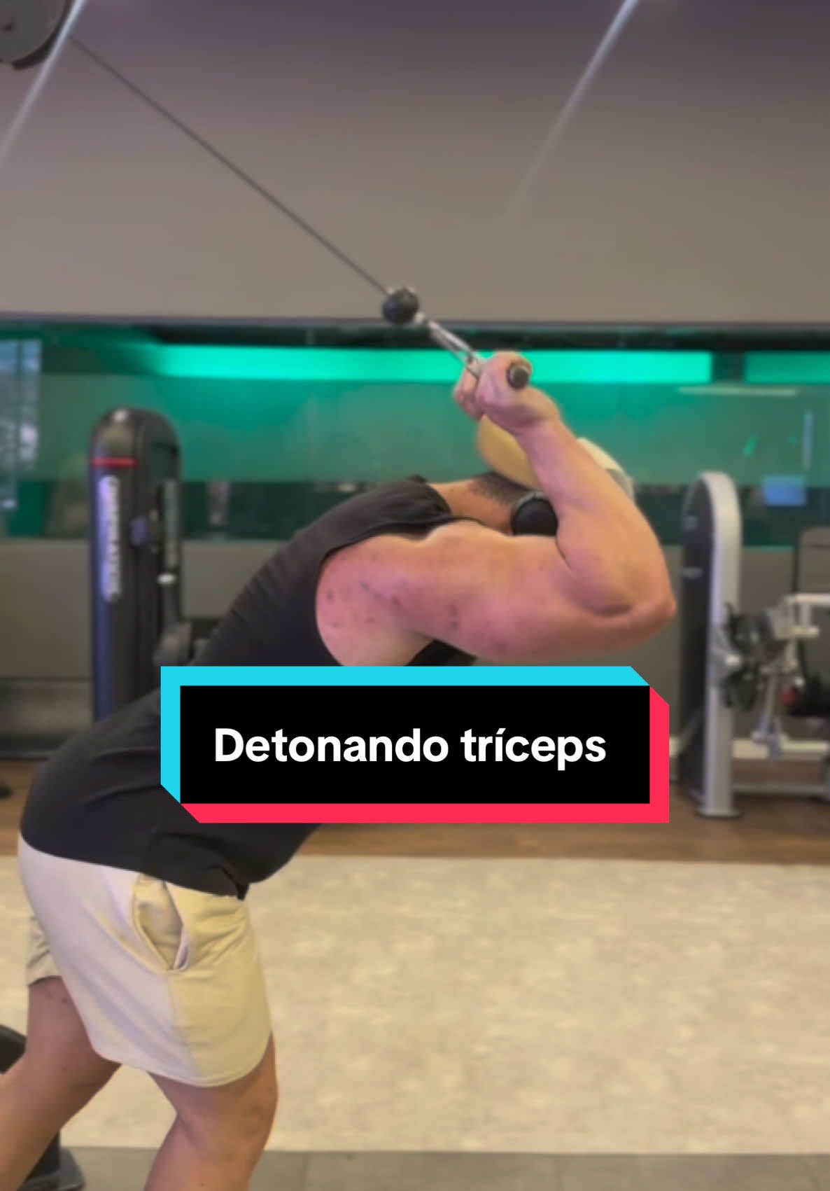 Bizu para detonar seu tríceps! #treino #musculação #gym #work #gymmotivation #gymrat #bodybuilding #bodybuilder #saude #training #personaltrainer #personal 