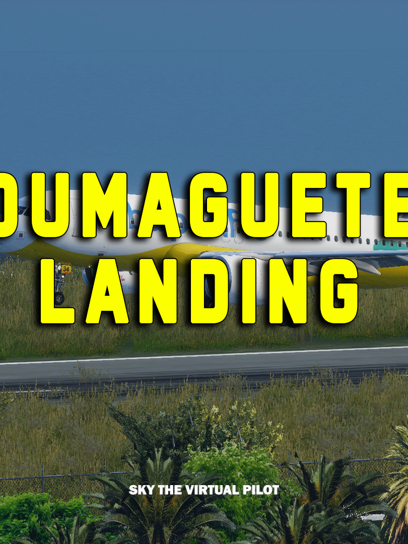 DUMAGUETE LANDING  #Vatsimpilot #aviation #cebupacific #skythevirtualpilot