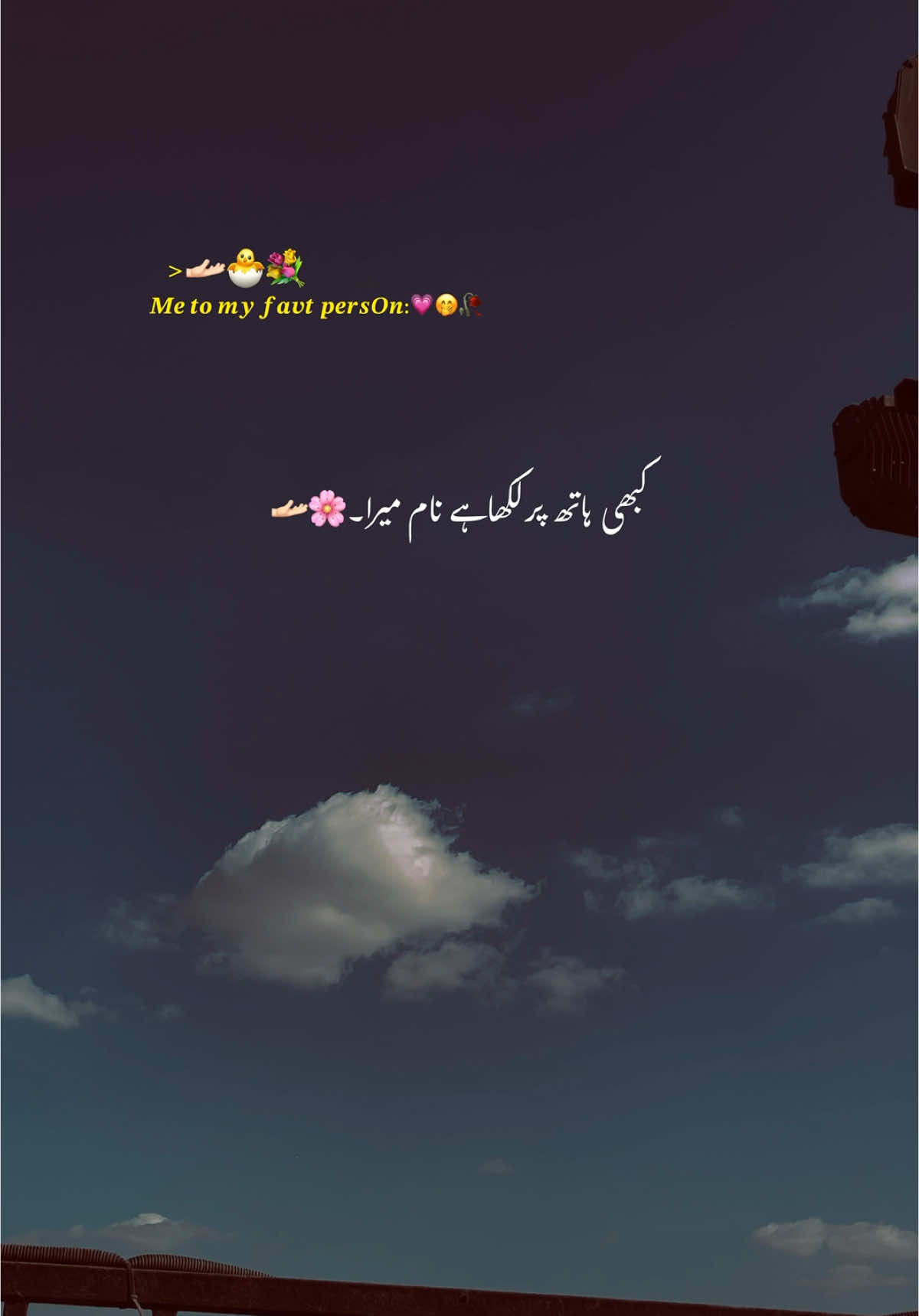 کبھی ہاتھ پر لکھا ہے نام میرا🫴🏻🌸🔐🦋🥀#hehe #fyp #video #urdupoetry #lines #growmyaccount #aesthetics #viral_video