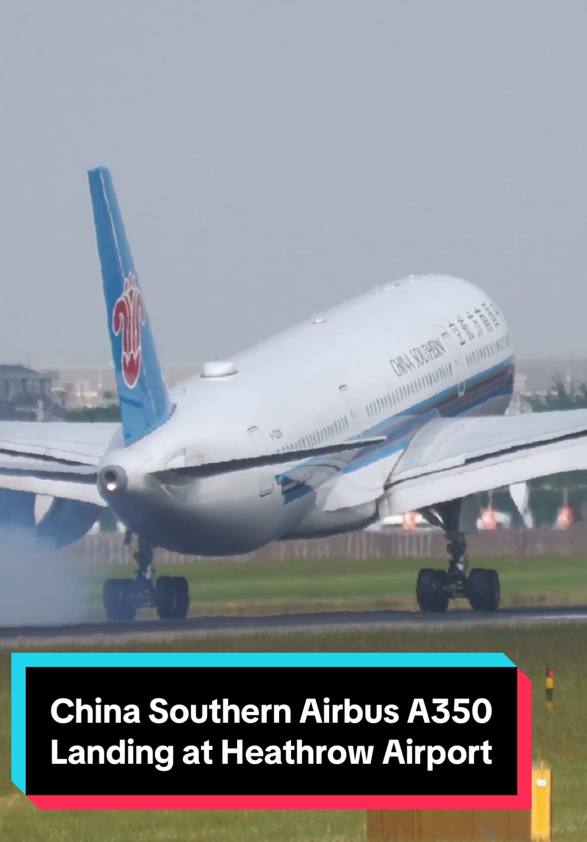 Hina Southern Airbus A350 landing at Heathrow Airport! 🤩✈️ #airbus #airbusa350 #landing #aviation #airplane #avgeek #planespotting 