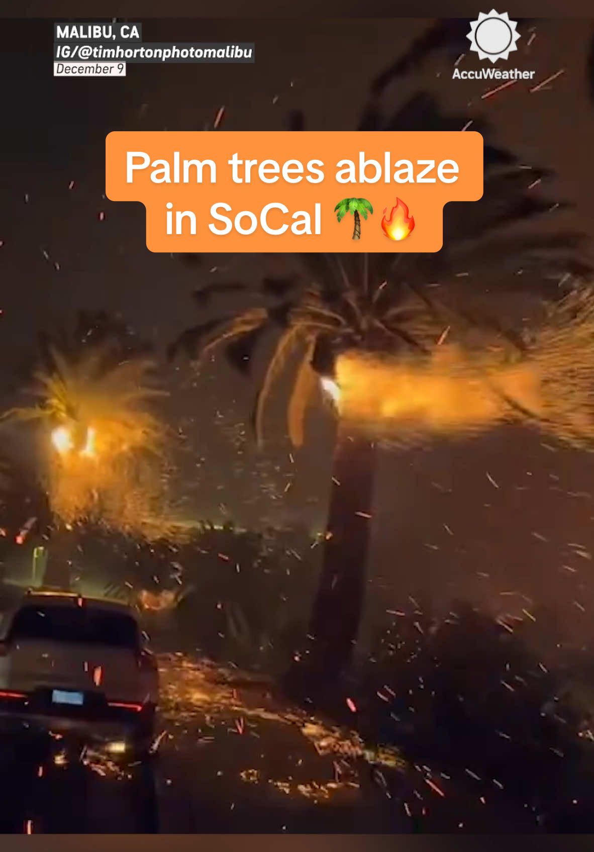 Palm trees ablaze at Pepperdine as the Franklin Fire rages on 🌴🔥 Strong winds have fueled the fire, burning 3,893 acres with 0% containment. #Malibu #california #cali #socal #franklinfire #news #fire #pepperdine #usnews #weather #accuweather 