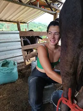 #zezedicamargoeluciano #leandroeleonardo #explore #vidanaroça #sertanejo 