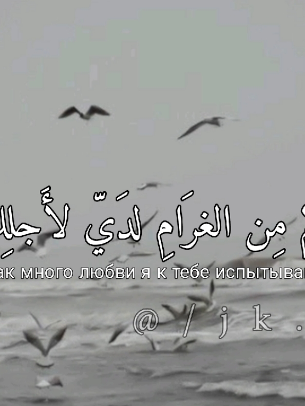 اَوّل فِيد لِي مَ فِي ترحِيب.؟ •|| مَ حَبِيت.  . . . . . . . . #اغاني_مترجمه_انجليزيه #اغاني_حزينه #اغاني_مترجمة_مشهوره #ايِـستِــر #اسبَانِيــة #تُـونِسِية #فَلسطينُ🇵🇸 #سُورِيَا 