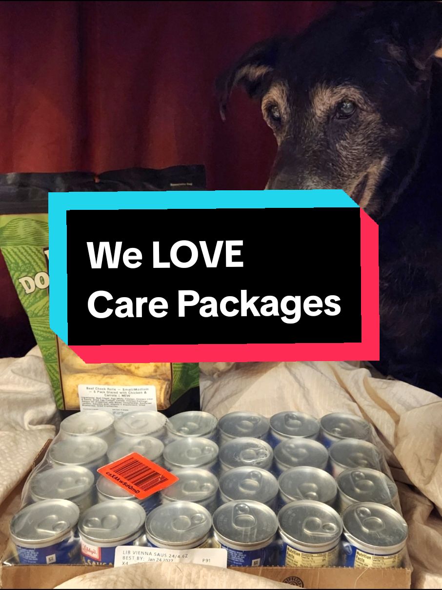 If you would like to send anything to the dogs, we have a link to our Wish Lists in the link tree in our bio.   Thank you Susan!  Granny loved all the goodies.   #seniordogs #olddogs #cancersucks #wishlist #rescueddogs #animalsanctuary 