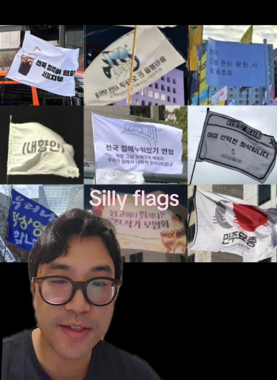 Man I wish I could be there now.  #korea #koreanews #politics #democracy #protest #impeachment #yoonsukyeol #presidentyoon #southkorea #flags 