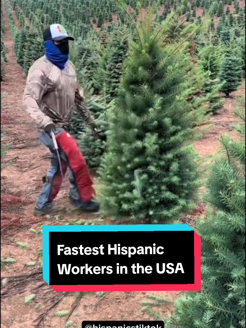 The fastest Hispanic Workers in the USA 🇺🇸 