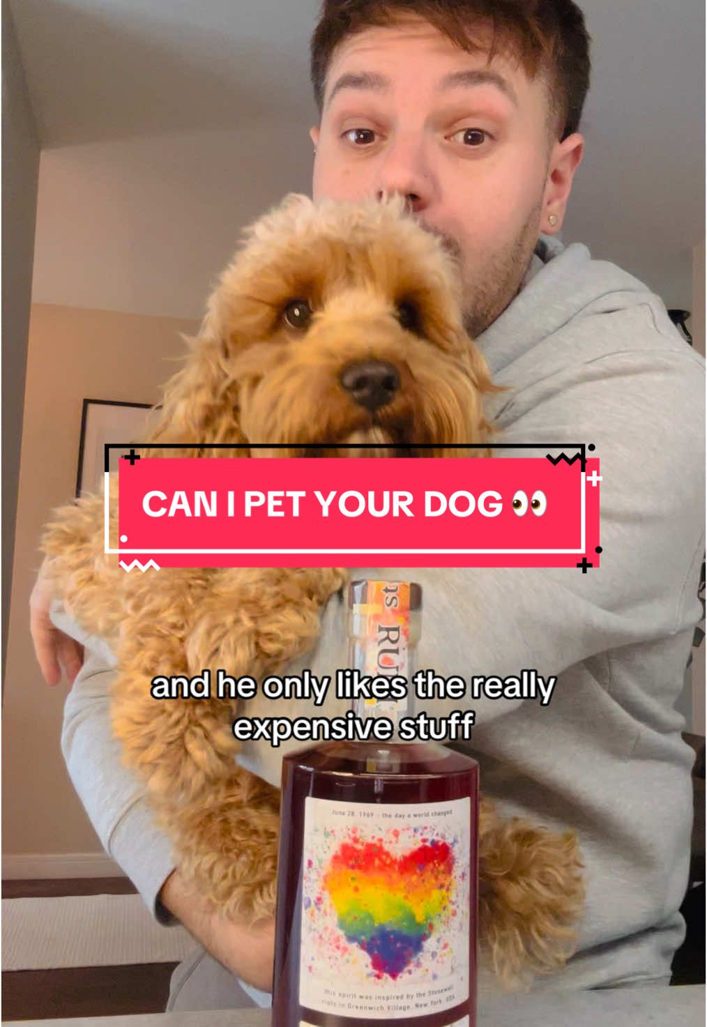 Hughie says you’ve got to buy Stonewall Gin or Rum and i can’t give you a better reason than that tbh 👀🤷‍♂️ #fyp #foryoupagе #cavapoo #lgbt #lgbtqtiktok #queertiktok #lgbtq🏳️‍🌈 #gaytiktok #rum #drinktok 