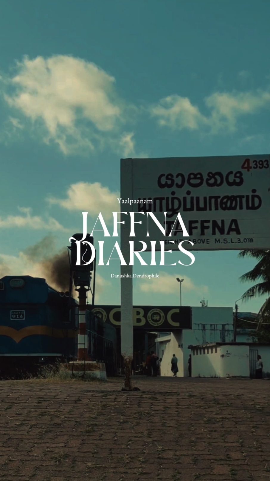 Jaffna vibes 🖤🌿 #CapCut #jaffna #foryou #trip #vacation #bestplace #bestplacestovisit #tripplanner #tamil #srilanka #travel #backgroundmusic #travelmusic #tamilsong #tamiltiktok #tamileellam #viral_video #traveltips #traveltiktok #eelam_of_lanka