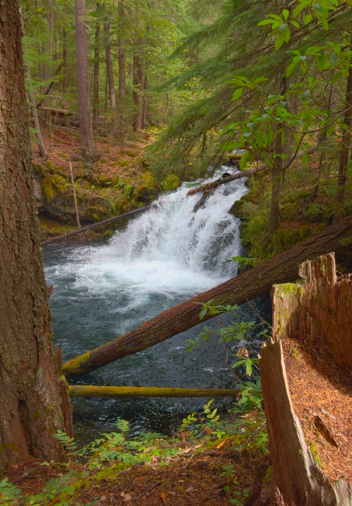 NEW Relaxing Nature Escapes Video available! Immerse yourself in the beauty of this beautiful location! 15 minutes of serene, relaxing footage paired with the calming sounds of nature. 🌿🎶 Perfect for unwinding and recharging! Follow the link in my bio/profile to see the full length video 🙏🏻☺️ #nature #Outdoors #cinematic #calm #waterfalls