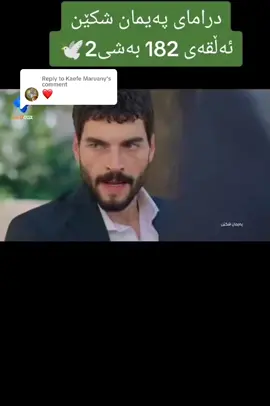 Replying to @Kaefe Maruany #paymanshken #foryou #fyp #foryoupage 