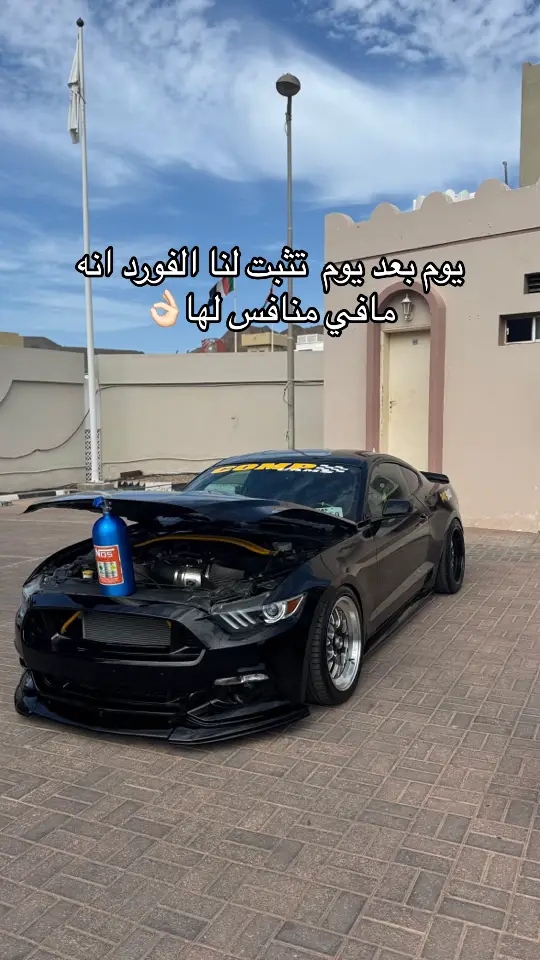 حد عنده اعتراض؟#mustang #موستنق  #الشعب_الصيني_ماله_حل😂😂 