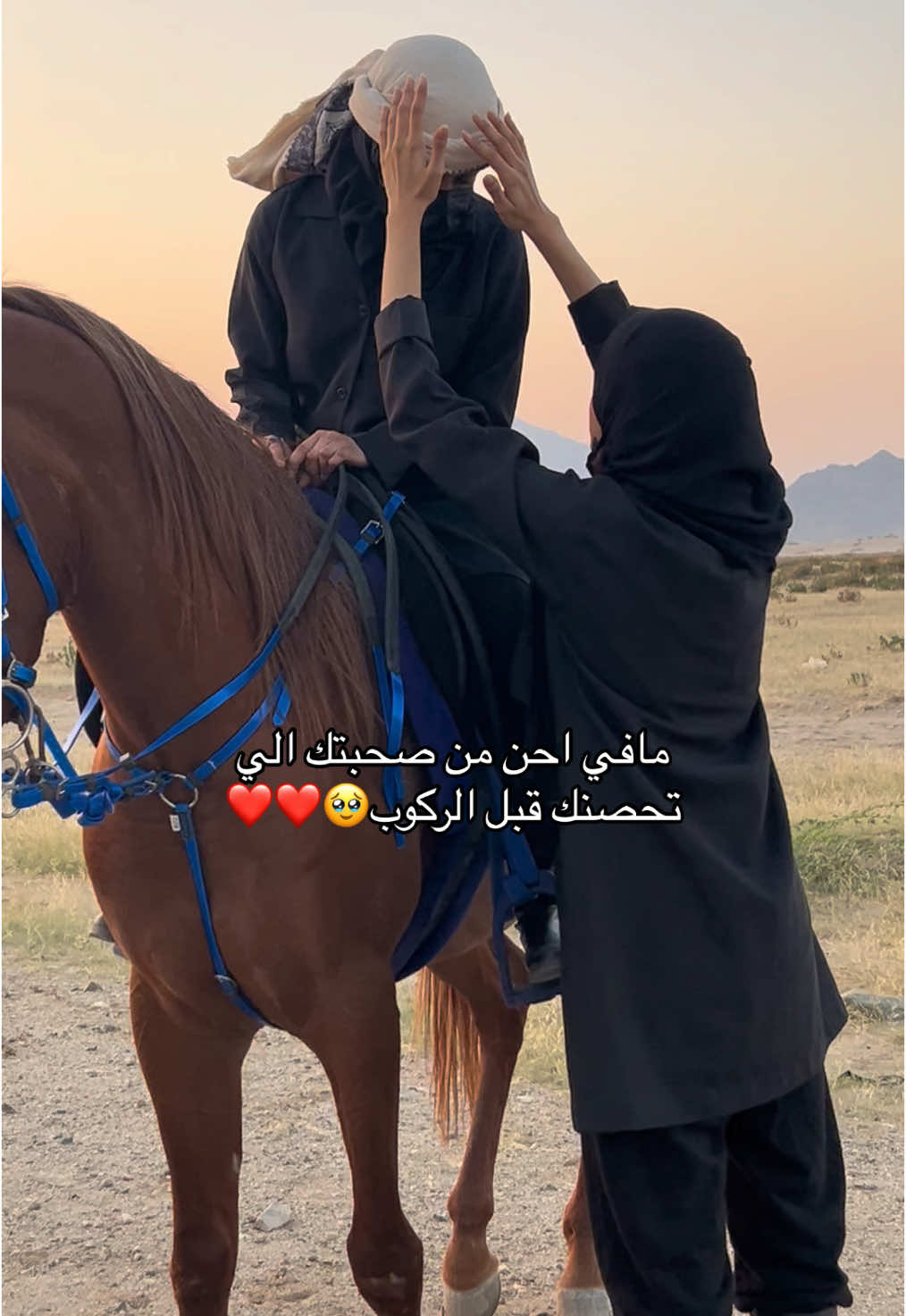 @شانو🌷#خيل_وخياله🐎 #مربط_اصايل_مكه #explore #اكسبلور #ماشاءالله_تبارك_الله #المغمس #خيل_وخياله #تحصين 