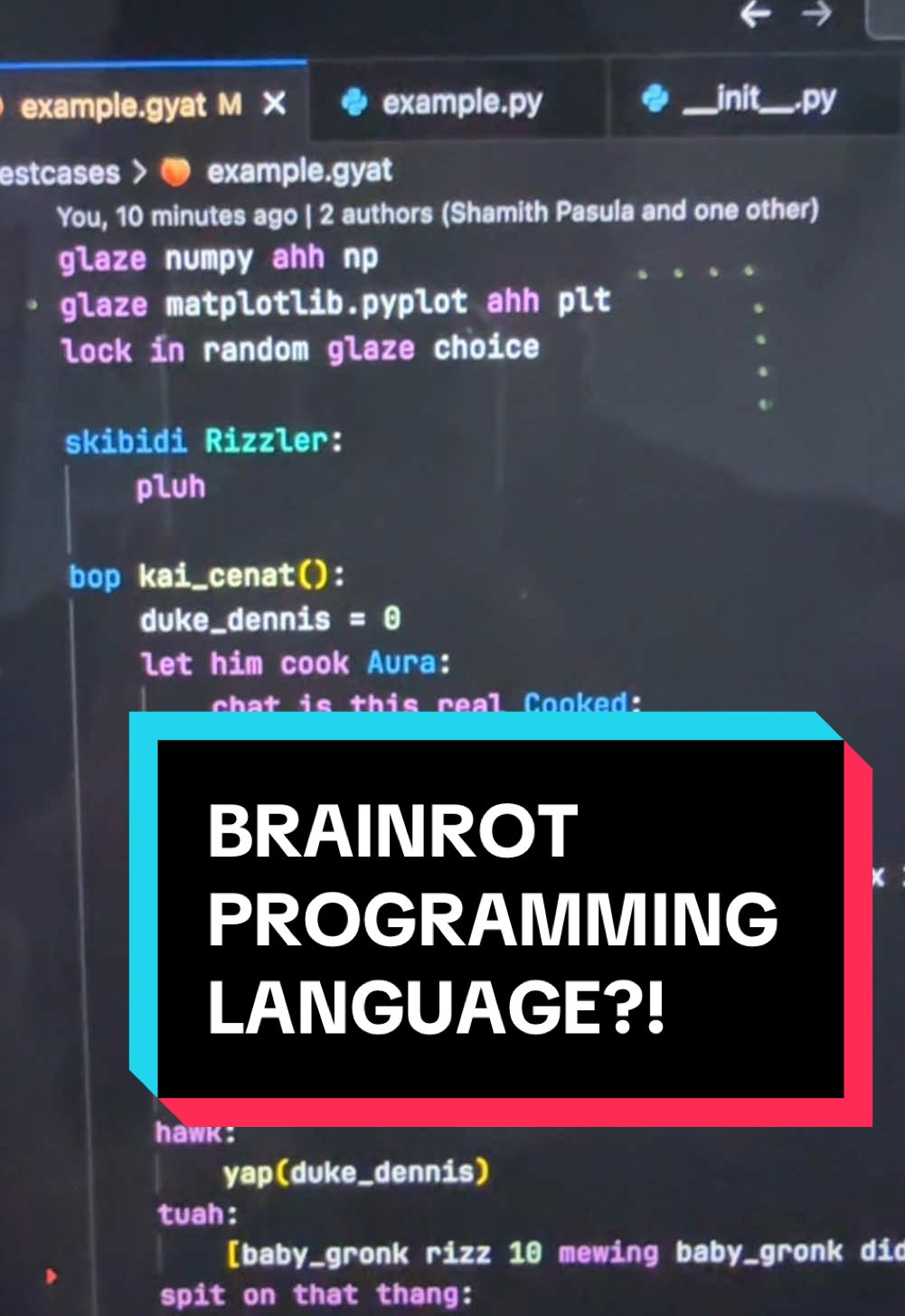 NEW BRAINROT PROGRAMMING LANGUAGE JUST DROPPED #coding #softwareengineer #techtok #programming #softwaredeveloper