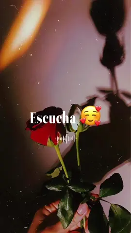 #rolitaschidas😍 #paradedicar🙈❤️🙈 #fracesdeamor💫🌹 #palbrasromanticas #letrasdecanciones🎧🎶 #musicaparaestados #cancionesparahistorias 