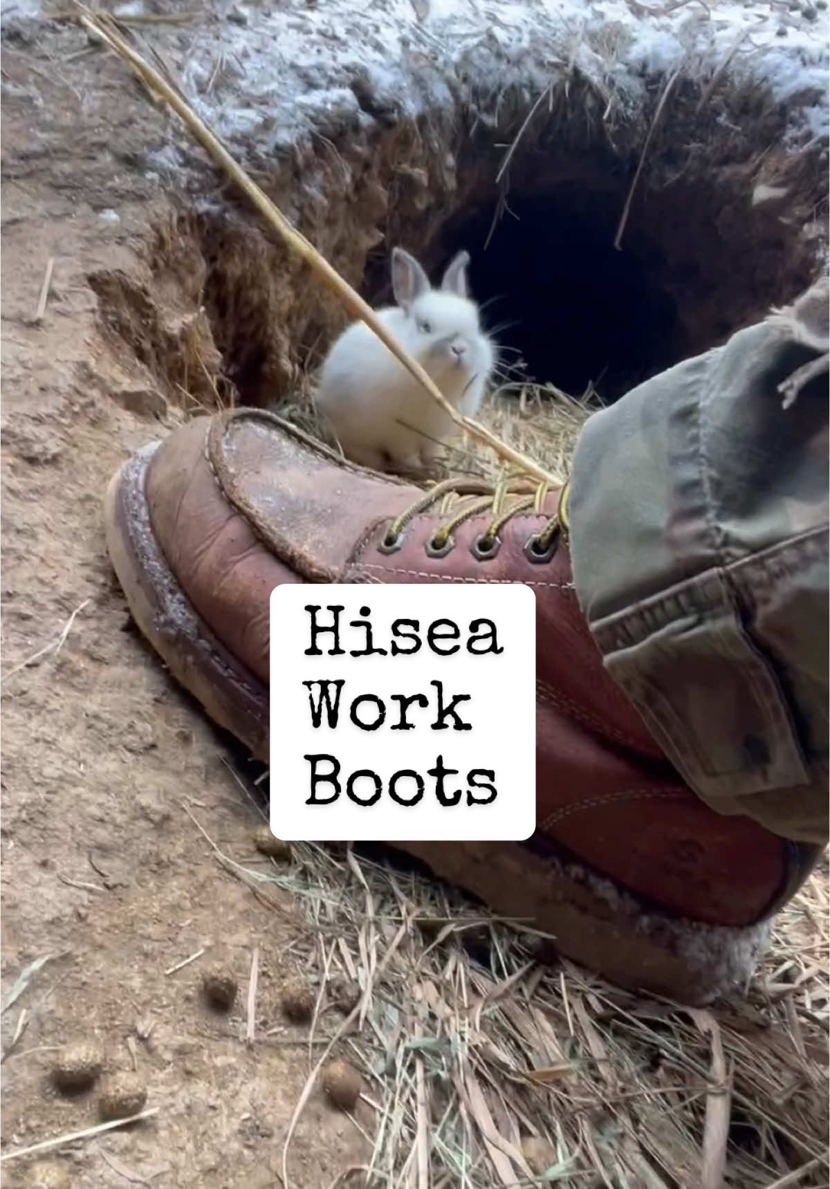 I love him. I just love how much hes always on our side. 🥰 #hisea #hiseaboots #workboots 