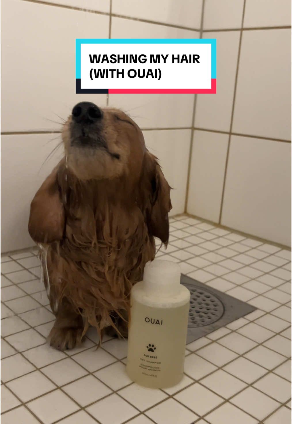 (ad) noodle really is THAT boy @THE OUAI #ouai 