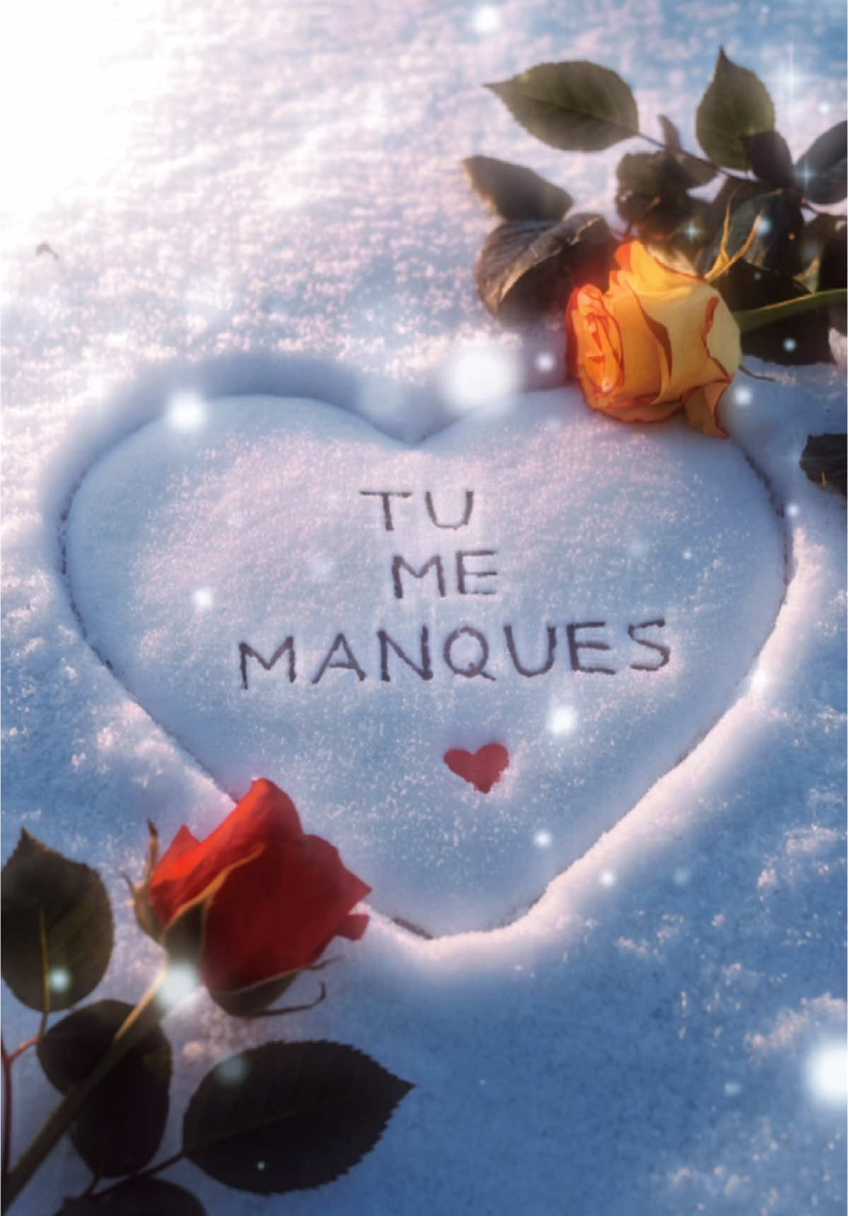 Tu me manques mon amour #tumemanque #monamour #jetaime #sms #pourtoi